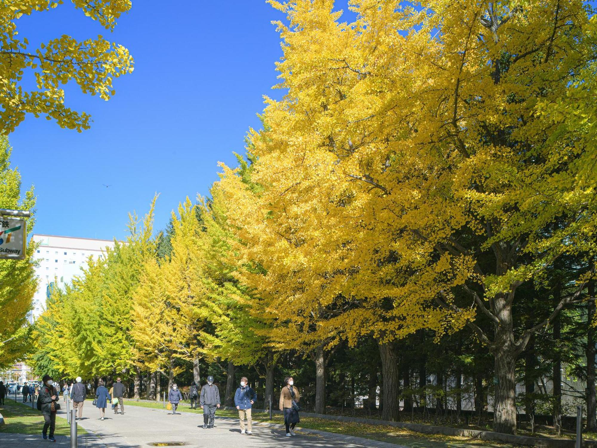 Vessel Inn Sapporo Nakajima Park Екстериор снимка